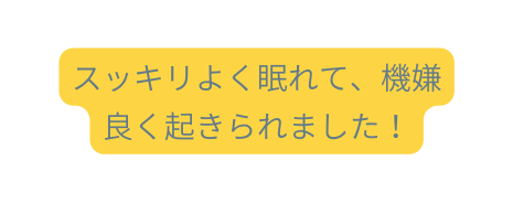 スッキリよく眠れて 機嫌良く起きられました